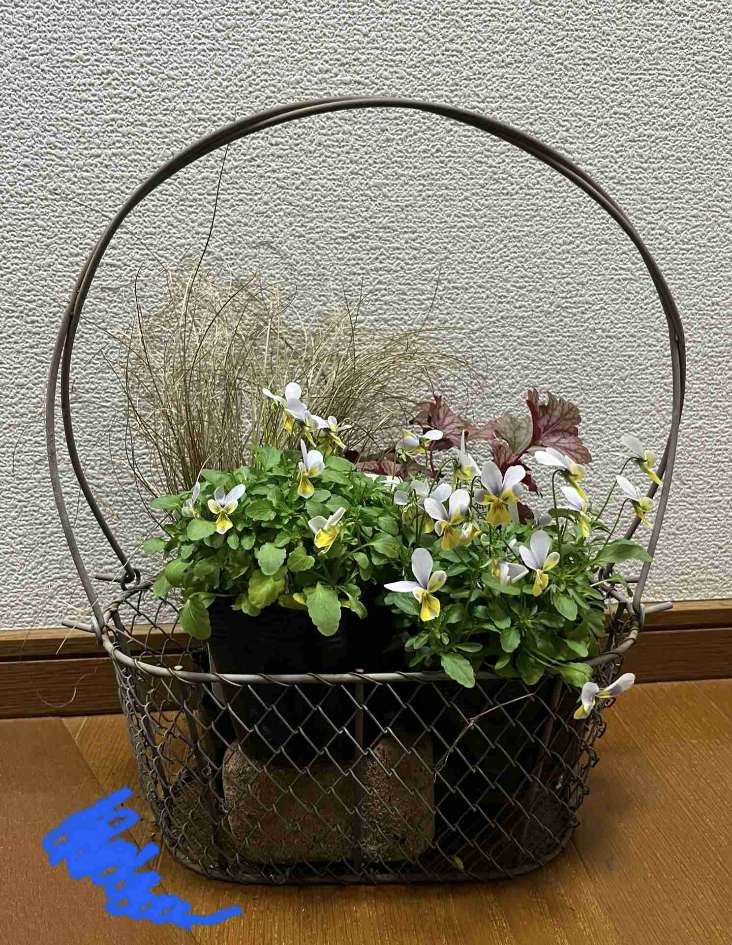 【ガーデニング】ガルちゃん園芸部【花・植物】part.41