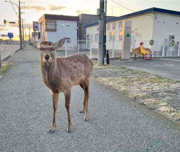 色々な写り込みが見たい