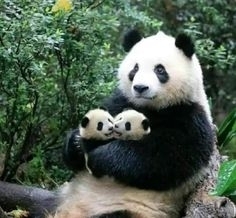 赤ちゃんと一日どのように過ごしていますか？