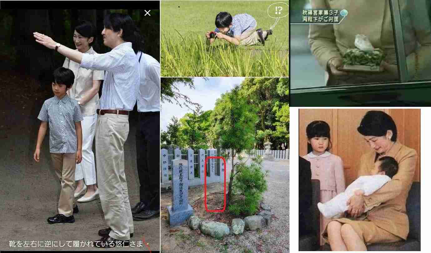 三笠宮妃百合子さまの葬儀の費用は約3億2500万円　8年前の故三笠宮さまの時と比べ約6000万円増