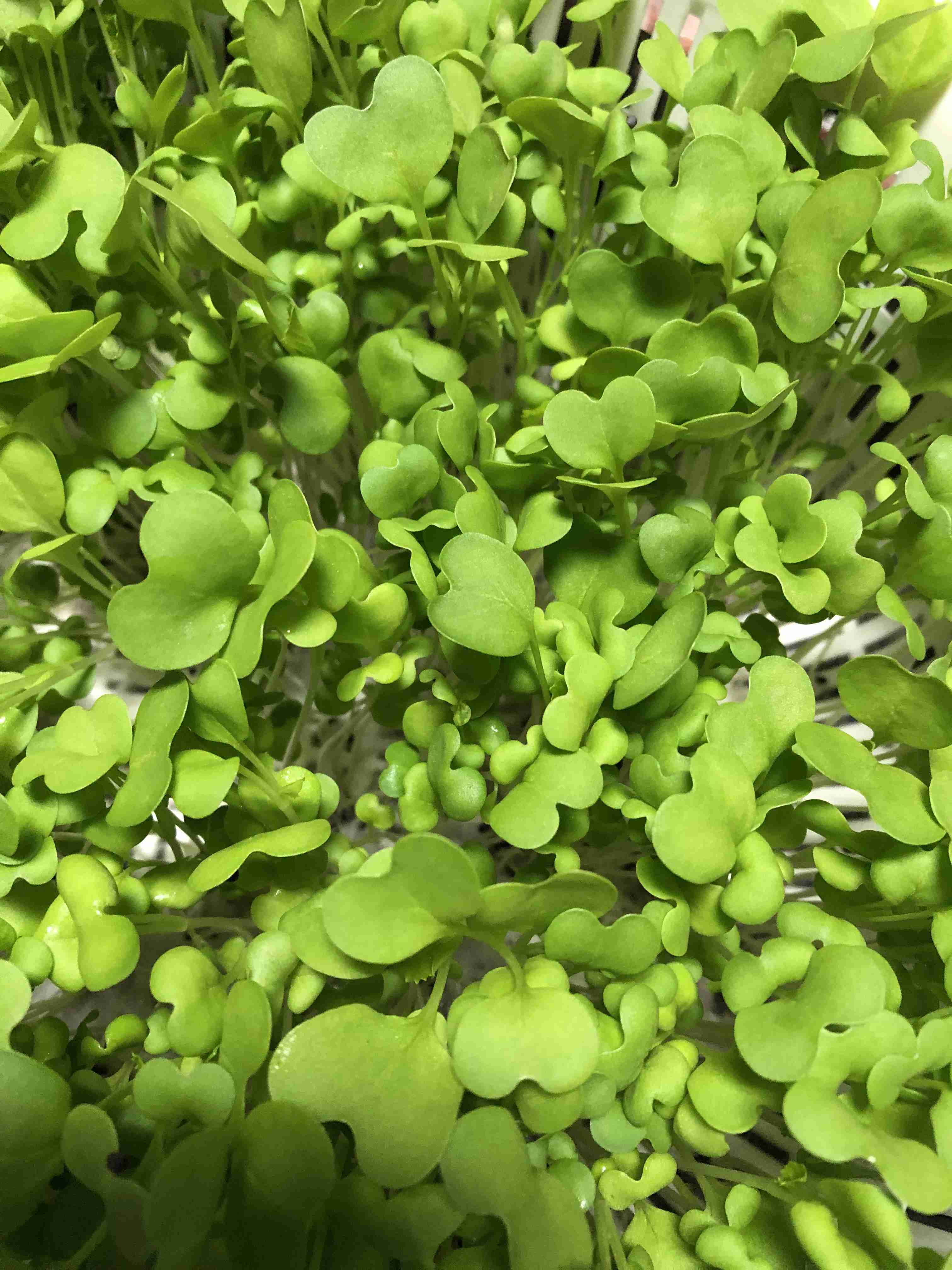 【11月】貧乏な人総合トピ