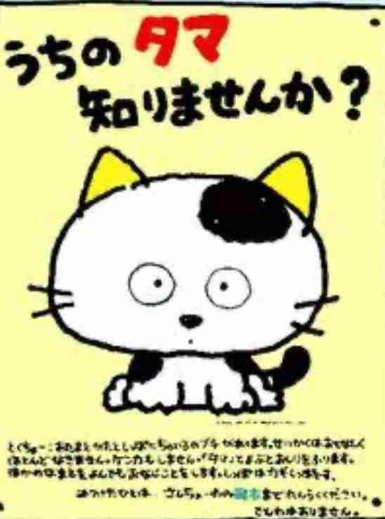 そういえばこんなキャラクターいたな~と一番思わせた人が優勝 Part7