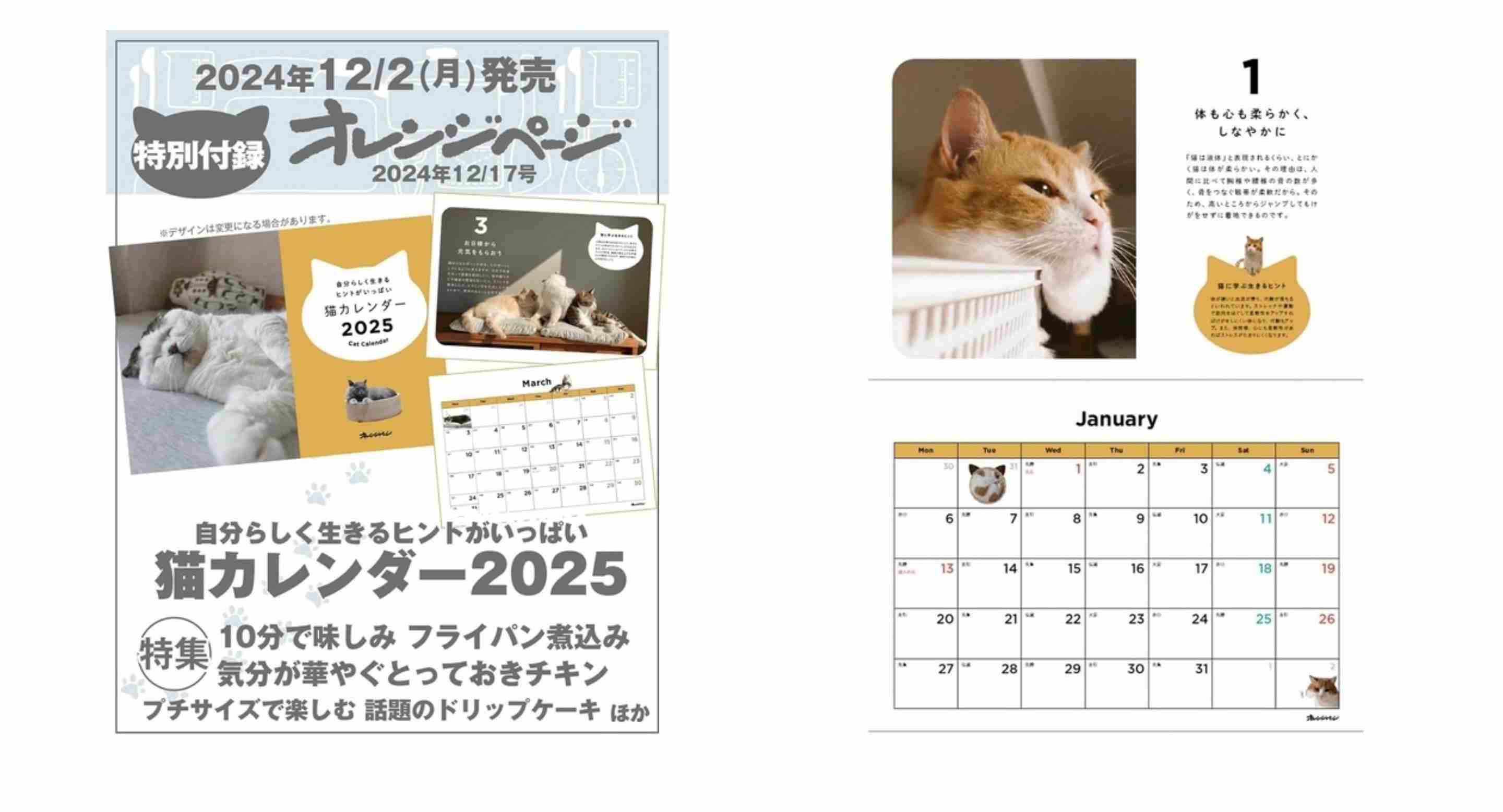 【定期トピ】雑誌付録11・12月号
