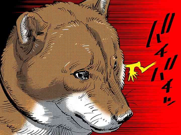 ゴールデンカムイ総合トピpart70