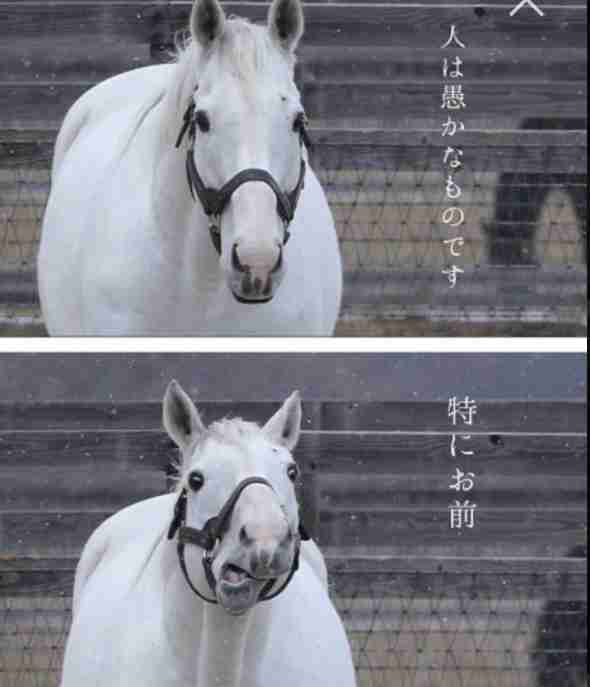 JRA施設でまた騎手のスマホ使用、永野猛蔵騎手が引退…偽装工作や親族に競馬予想伝えることも