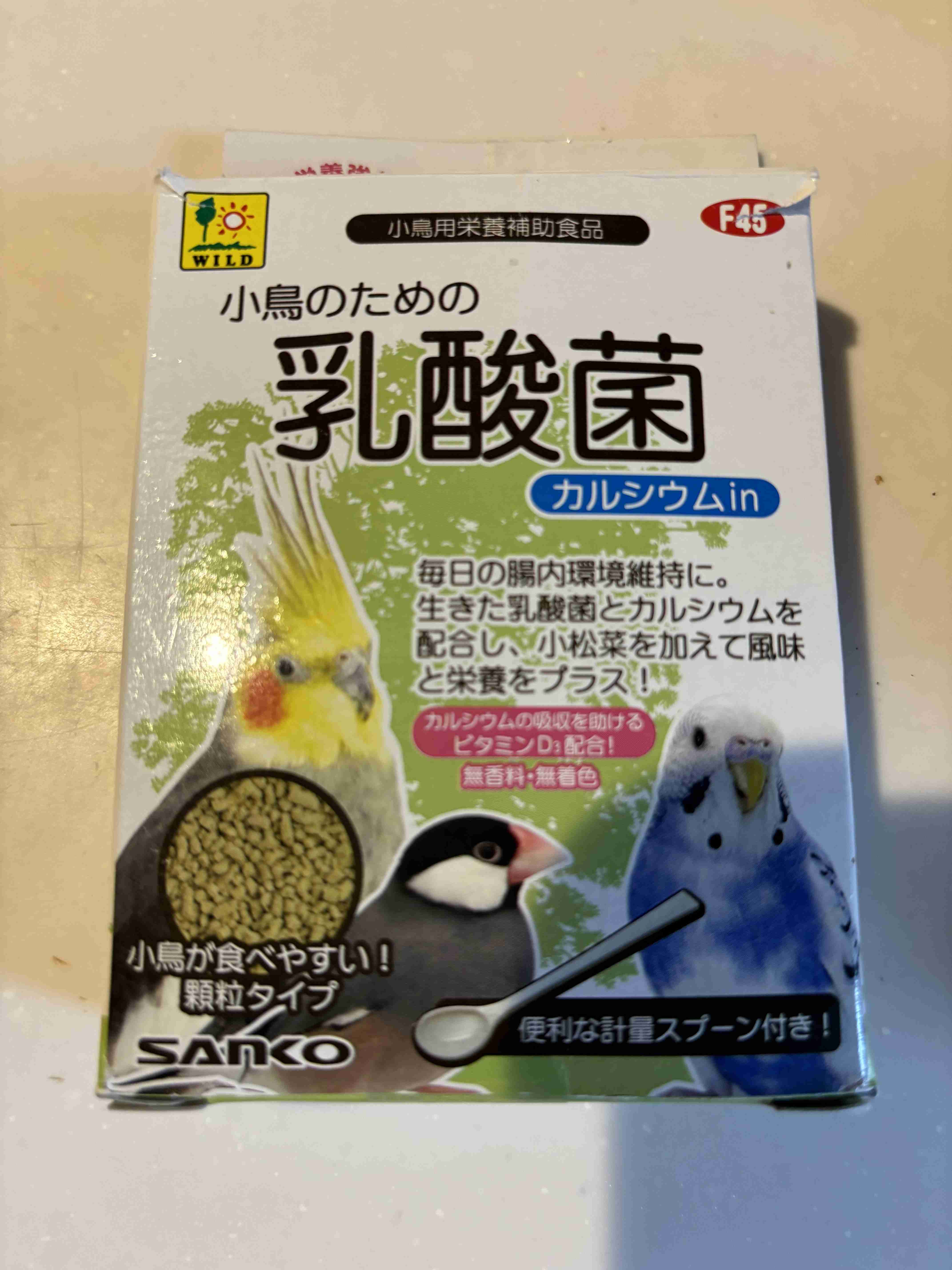 【インコ・オウム】鳥が好きな人と語りたい【文鳥なんでも】