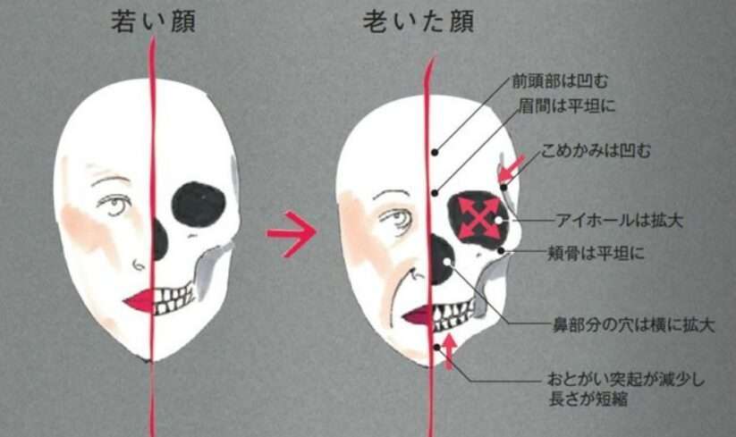 【謎】年を取ると鼻が巨大化する現象【何故？】