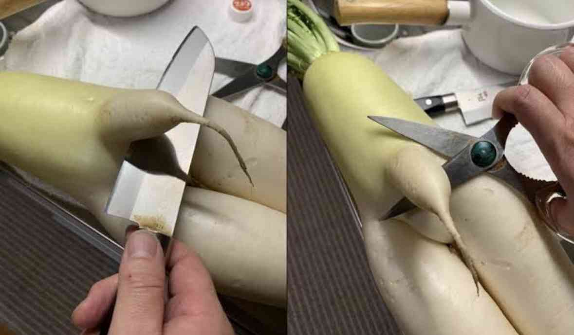 「30歳越えたら子宮摘出」「女性は18歳から大学に行かさない」日本保守党代表・百田尚樹氏の“人権無視提言”に「相当ヤバいね」「恐ろしい」批判集まる