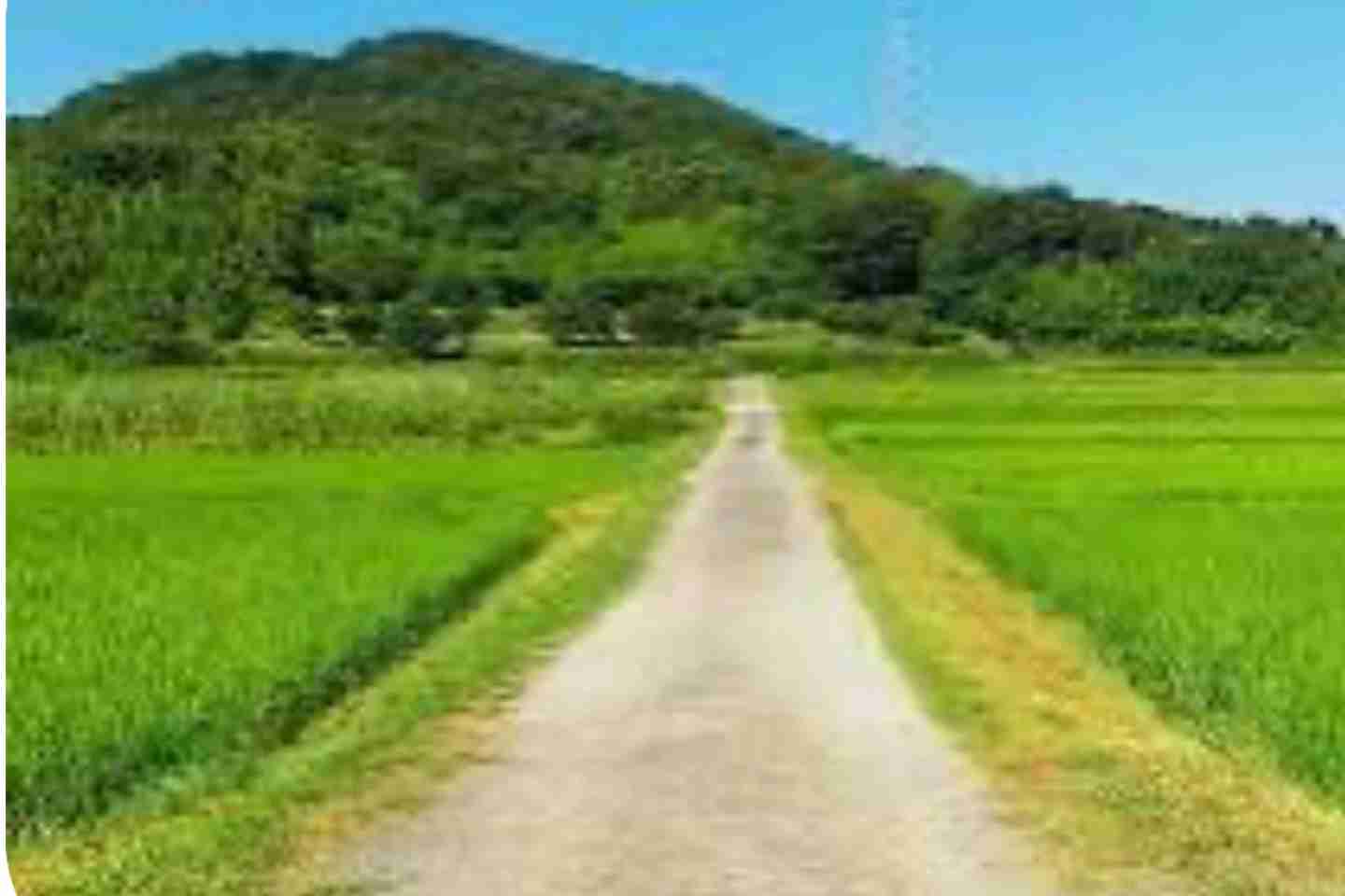 田舎と都会、どっちの方がワクワクしますか？