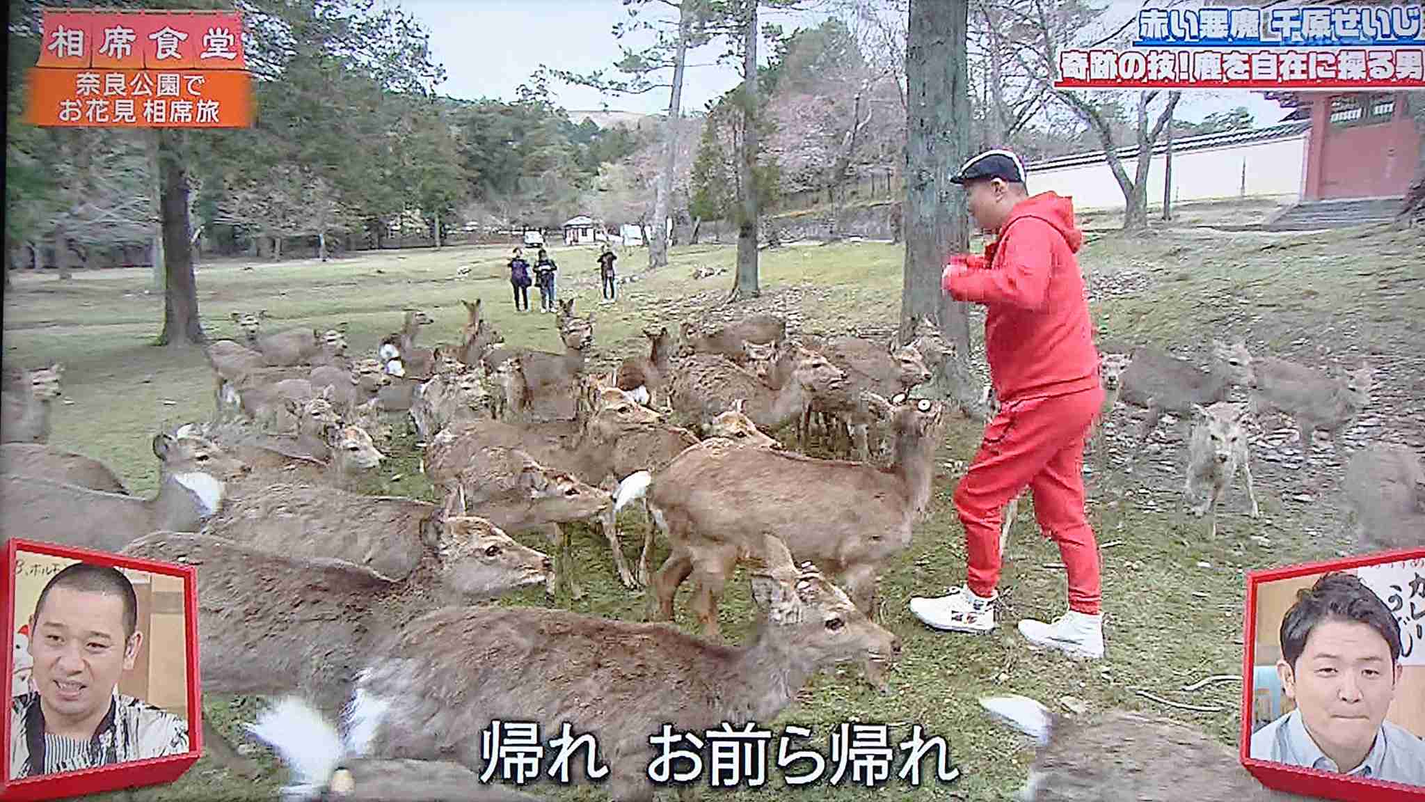 僧侶になった千原せいじ　日本仏教協会顧問に就任　「より多くの人々へ仏教を説くことができると」