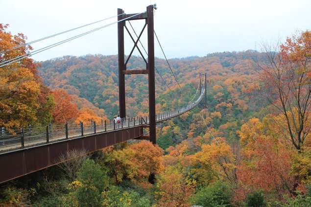 紅葉×絶景　観光客殺到の日光　バス「5分が60分」大混雑の3連休　迷惑駐車も