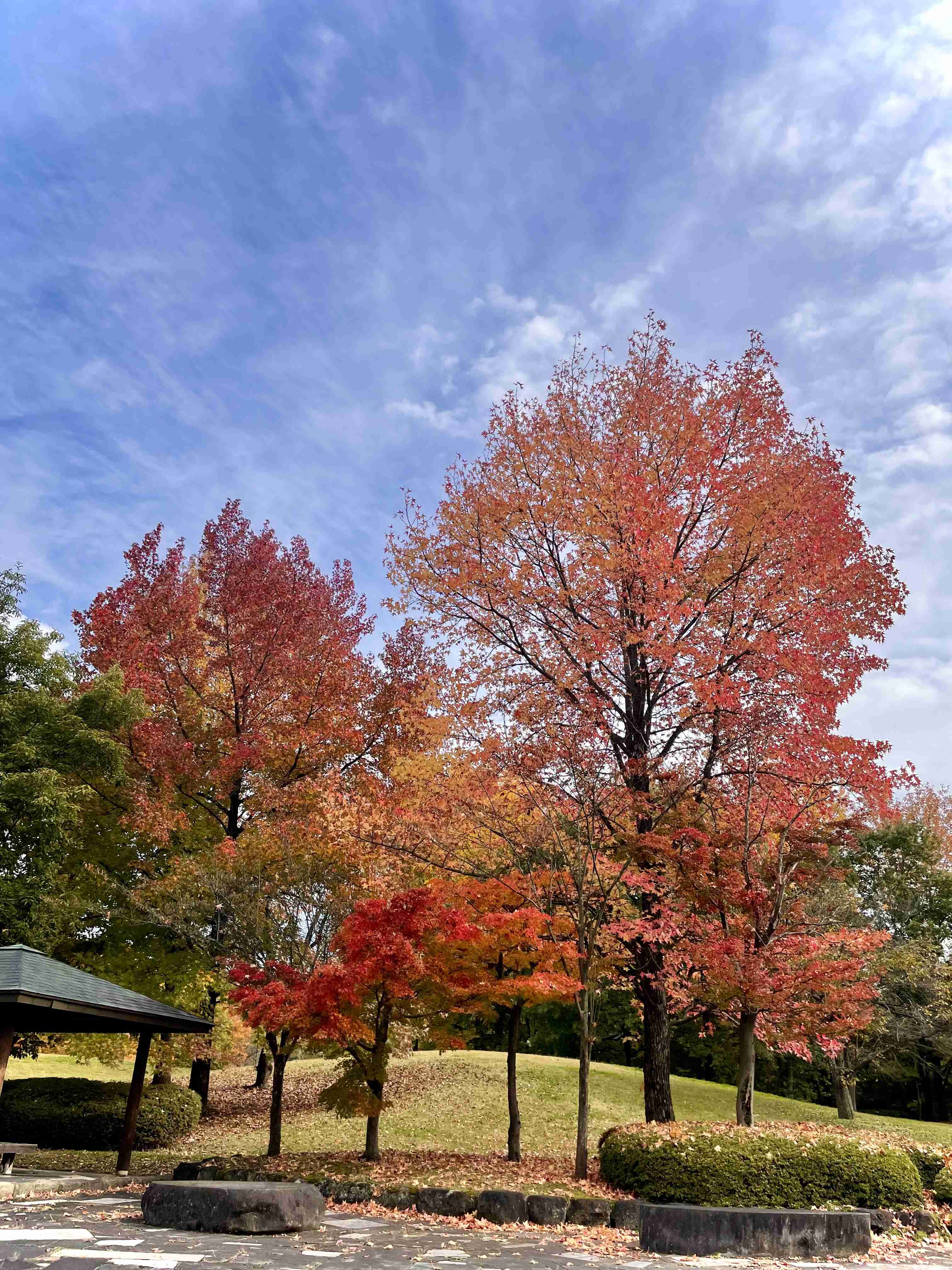 紅葉×絶景　観光客殺到の日光　バス「5分が60分」大混雑の3連休　迷惑駐車も