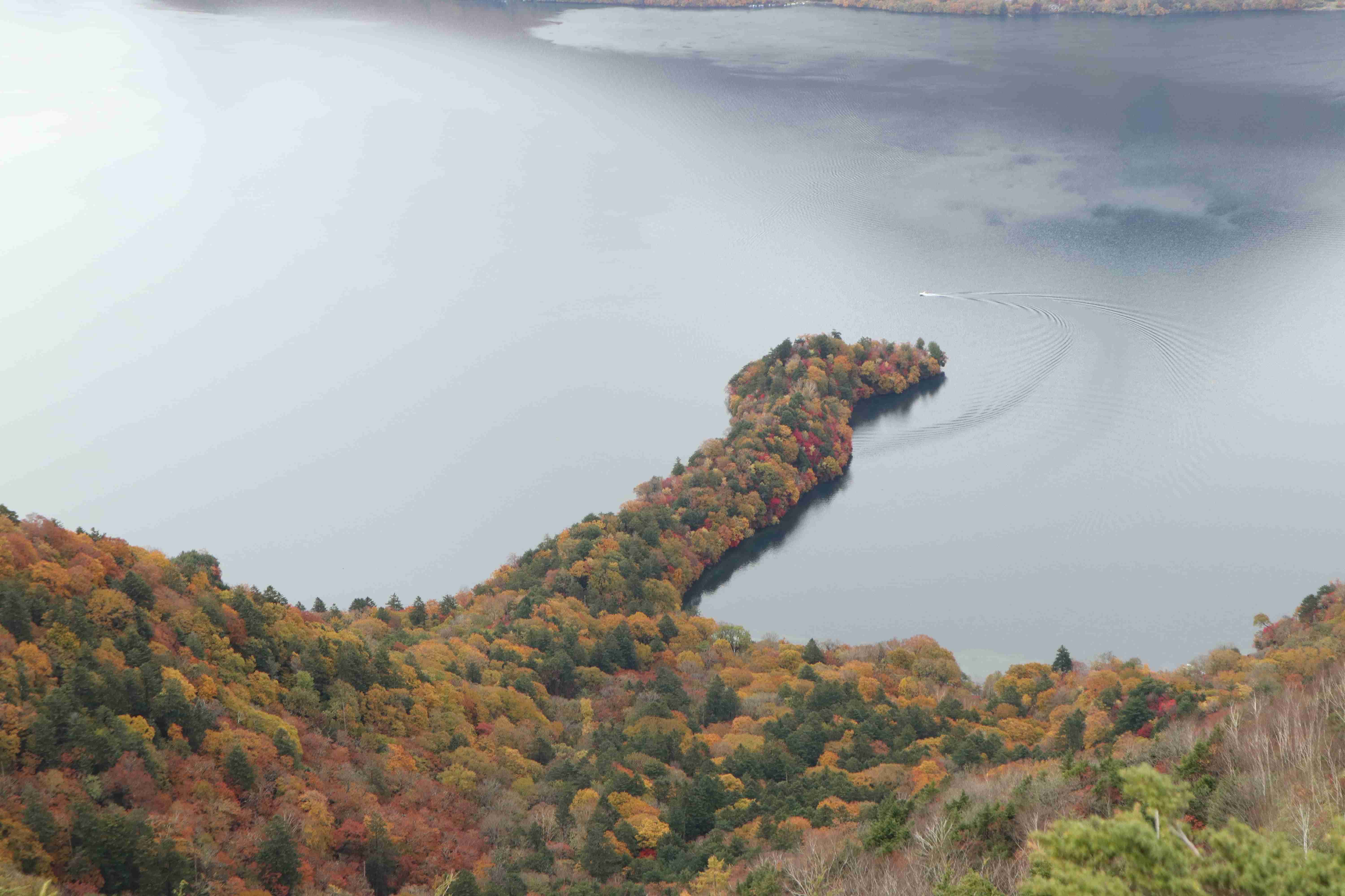 紅葉×絶景　観光客殺到の日光　バス「5分が60分」大混雑の3連休　迷惑駐車も
