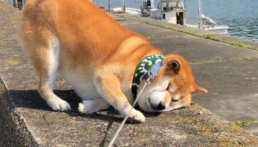 まわりより人生遅れてる人