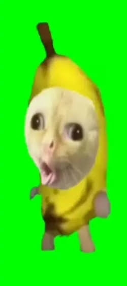 好きなネットミーム