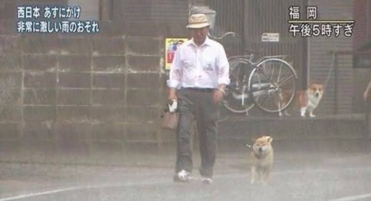 好きなネットミーム