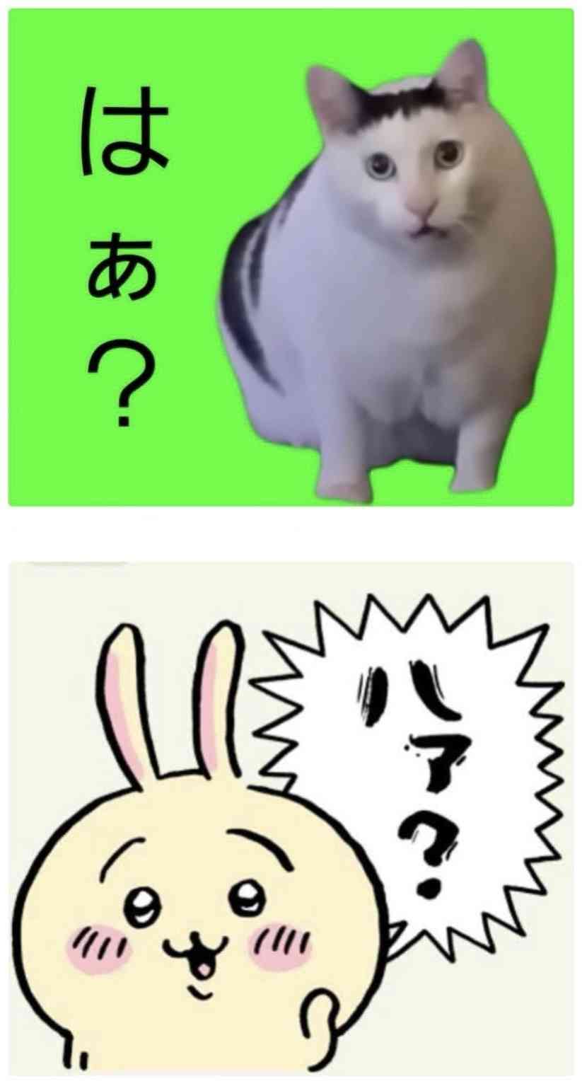 焼肉店放火容疑で71歳女逮捕　犯行現場にとどまり炎を見つめ会話する姿も…「全然面識ない」店主驚き　大阪市西成区