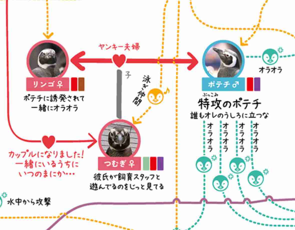 動物園か水族館で飼育員として働くとしたらどの動物の飼育員になりたいですか?
