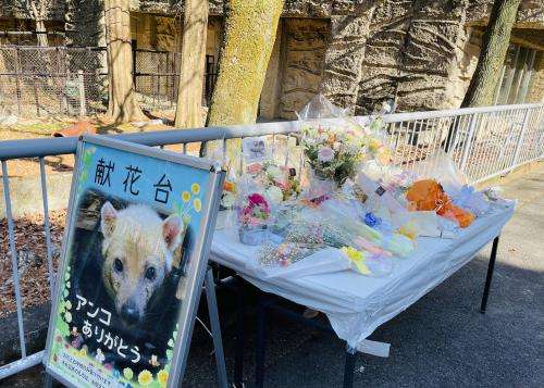 動物園か水族館で飼育員として働くとしたらどの動物の飼育員になりたいですか?