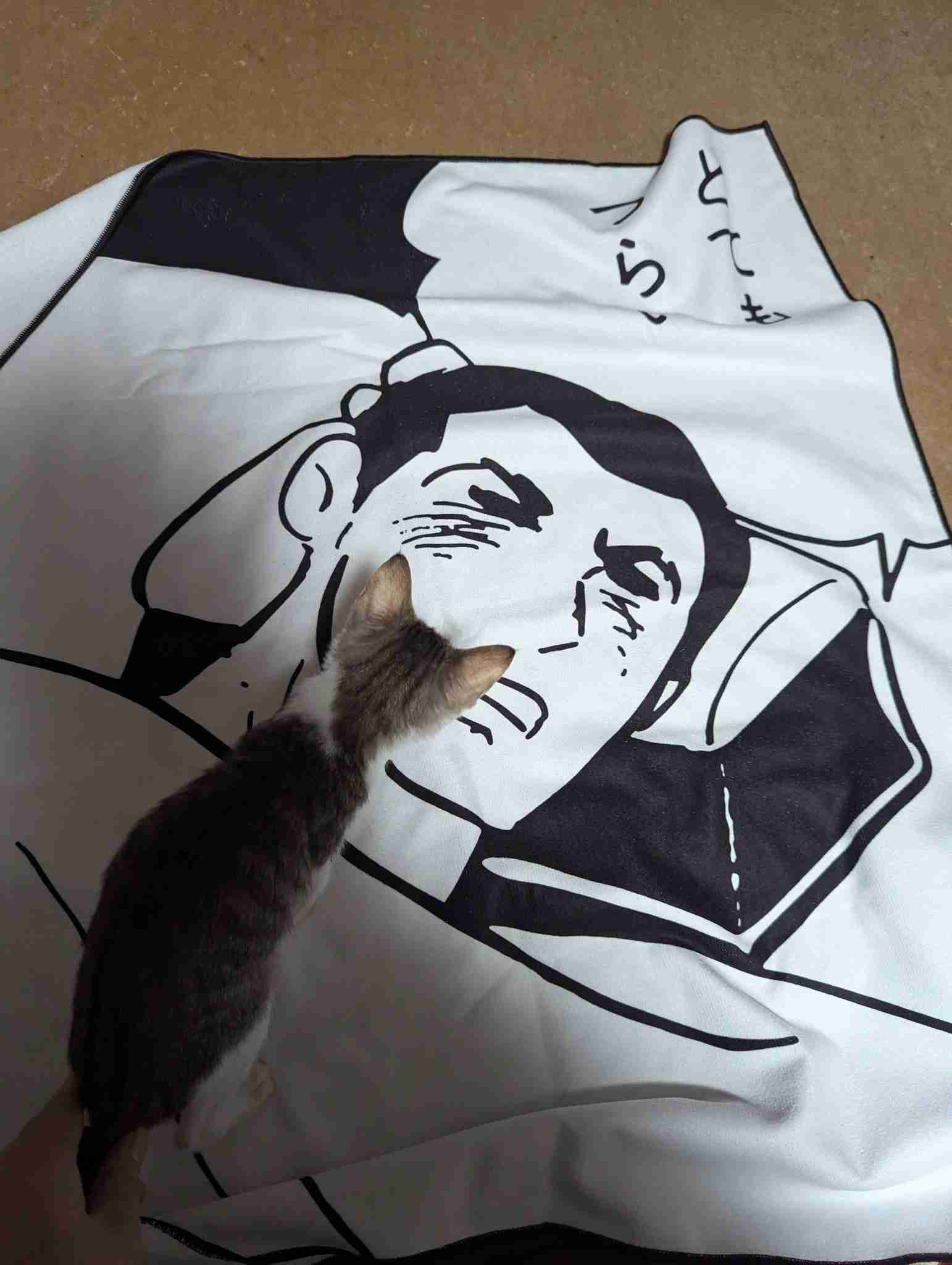 日々のストレス、どうしてますか？