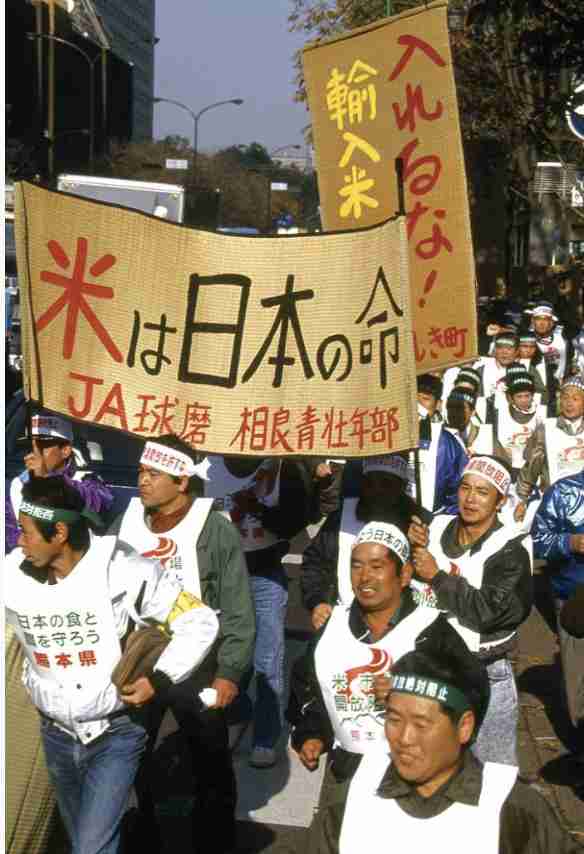 令和の米騒動、価格高騰の裏で 「値上がりではない」と農家の悲鳴