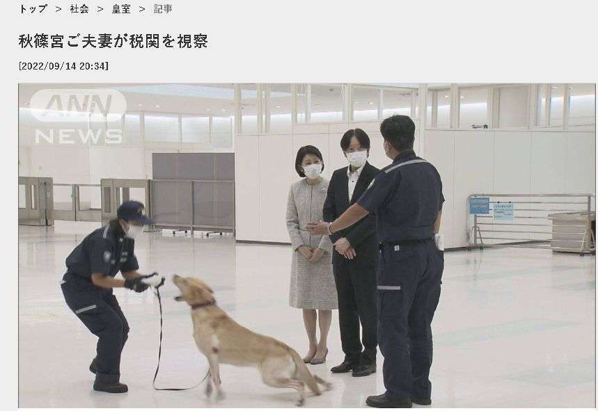 https://up.gc-img.net/post_img/2024/12/9LI4dchK3BNVRM2_bsG4v_31988.jpeg