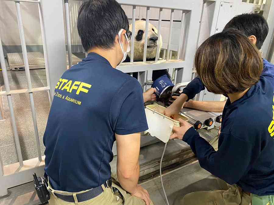 「動物っていいなぁ」と羨ましくなったこと