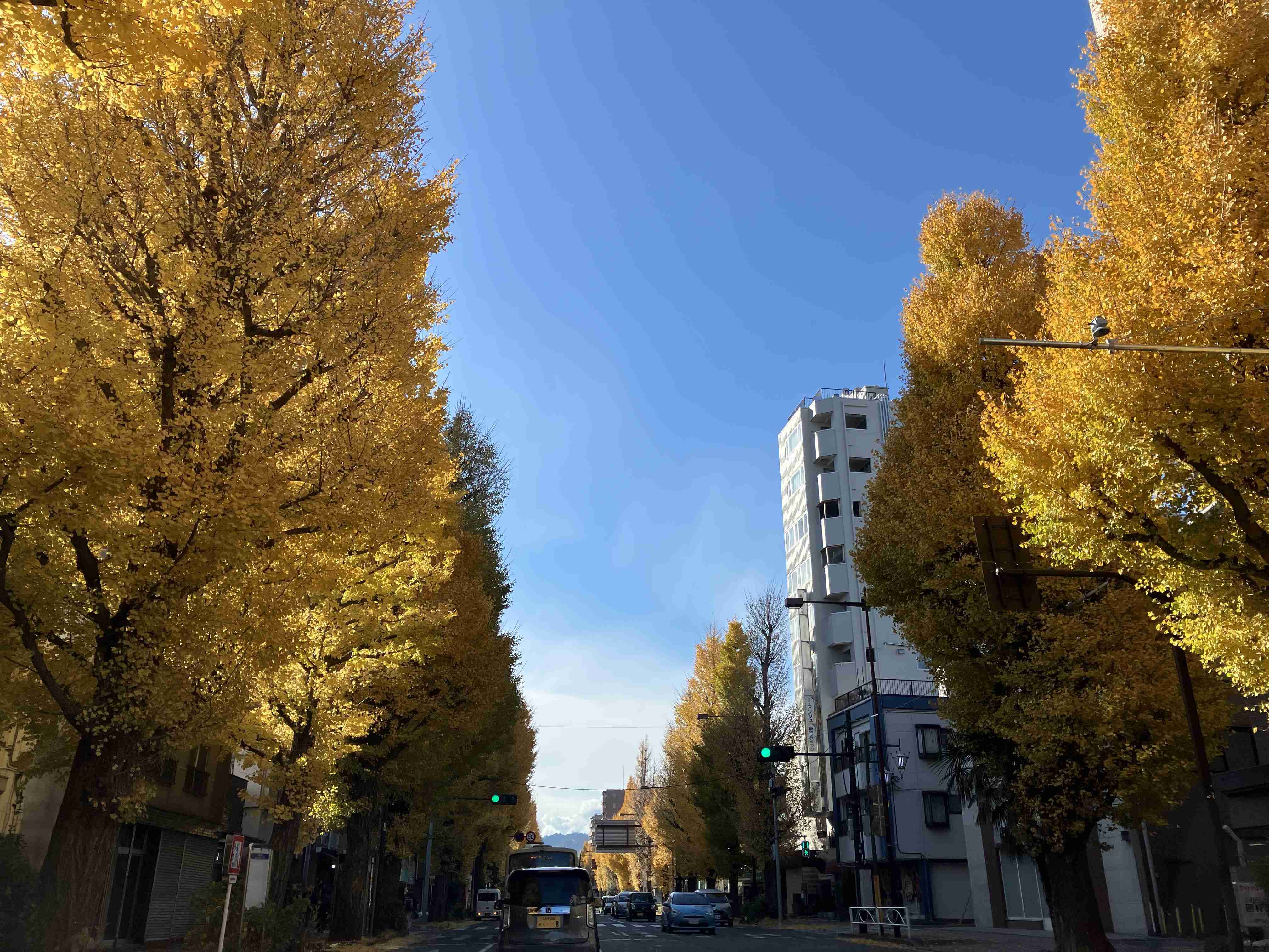 年末年始の我が家の情景を貼るトピpart3