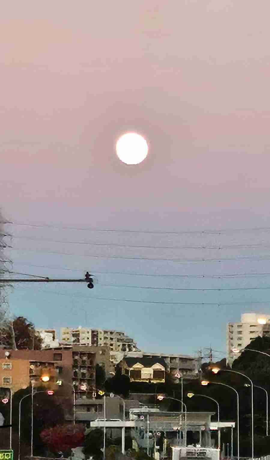 年末年始の我が家の情景を貼るトピpart3