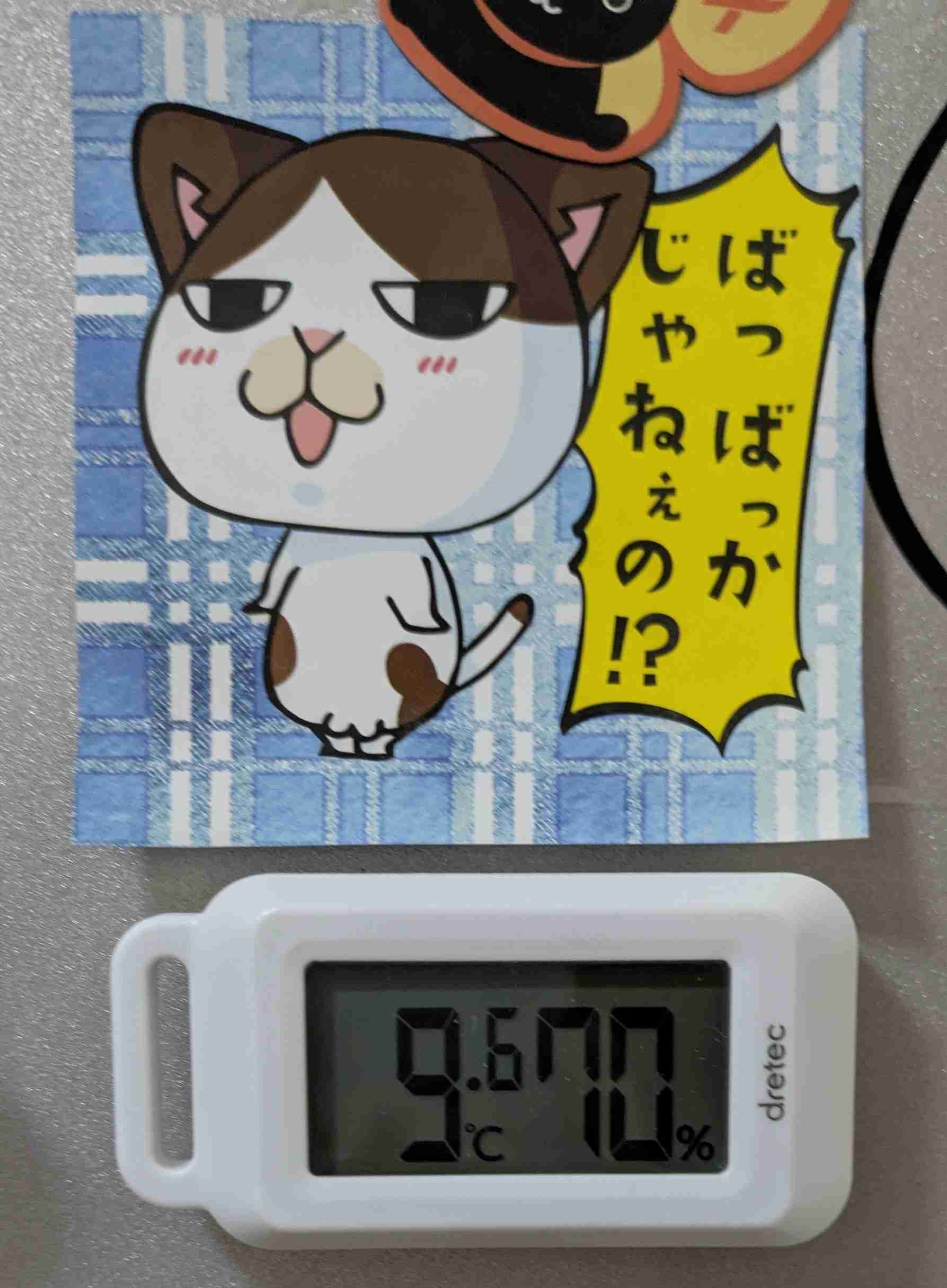 年末年始の我が家の情景を貼るトピpart3