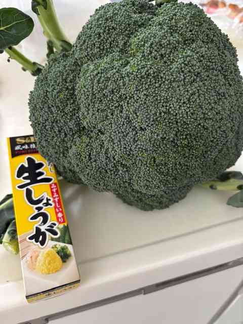 年末年始の我が家の情景を貼るトピpart3