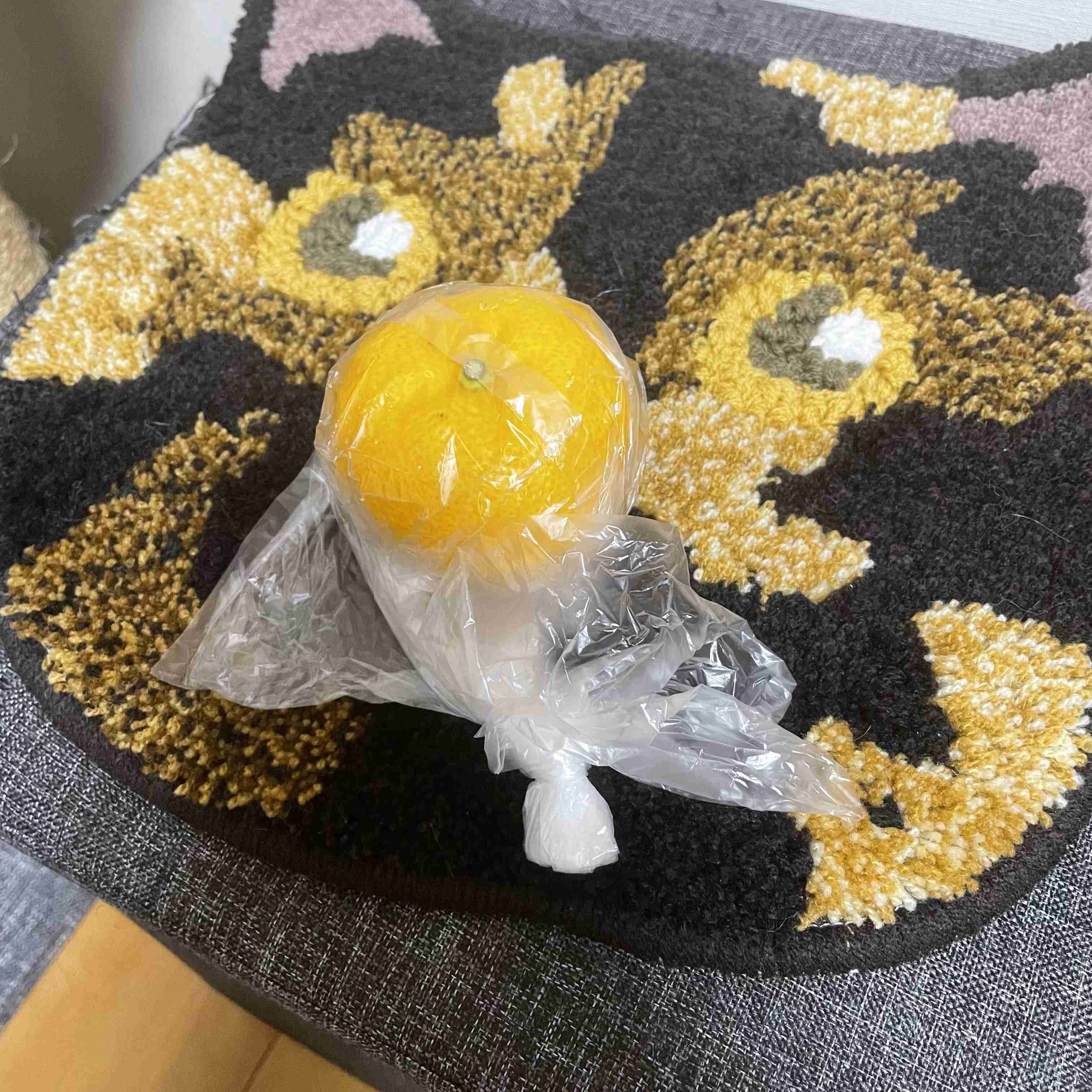 年末年始の我が家の情景を貼るトピpart3