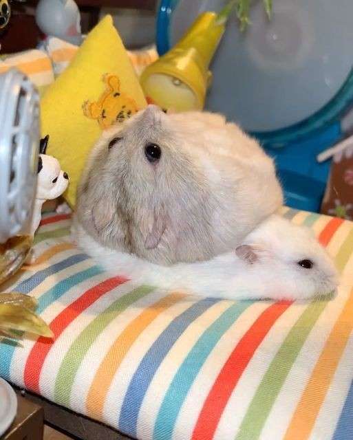 【恋愛関係】適度なワガママとは