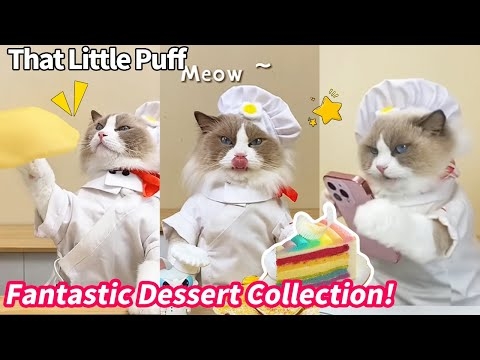精神安定剤代わりになるYouTuber