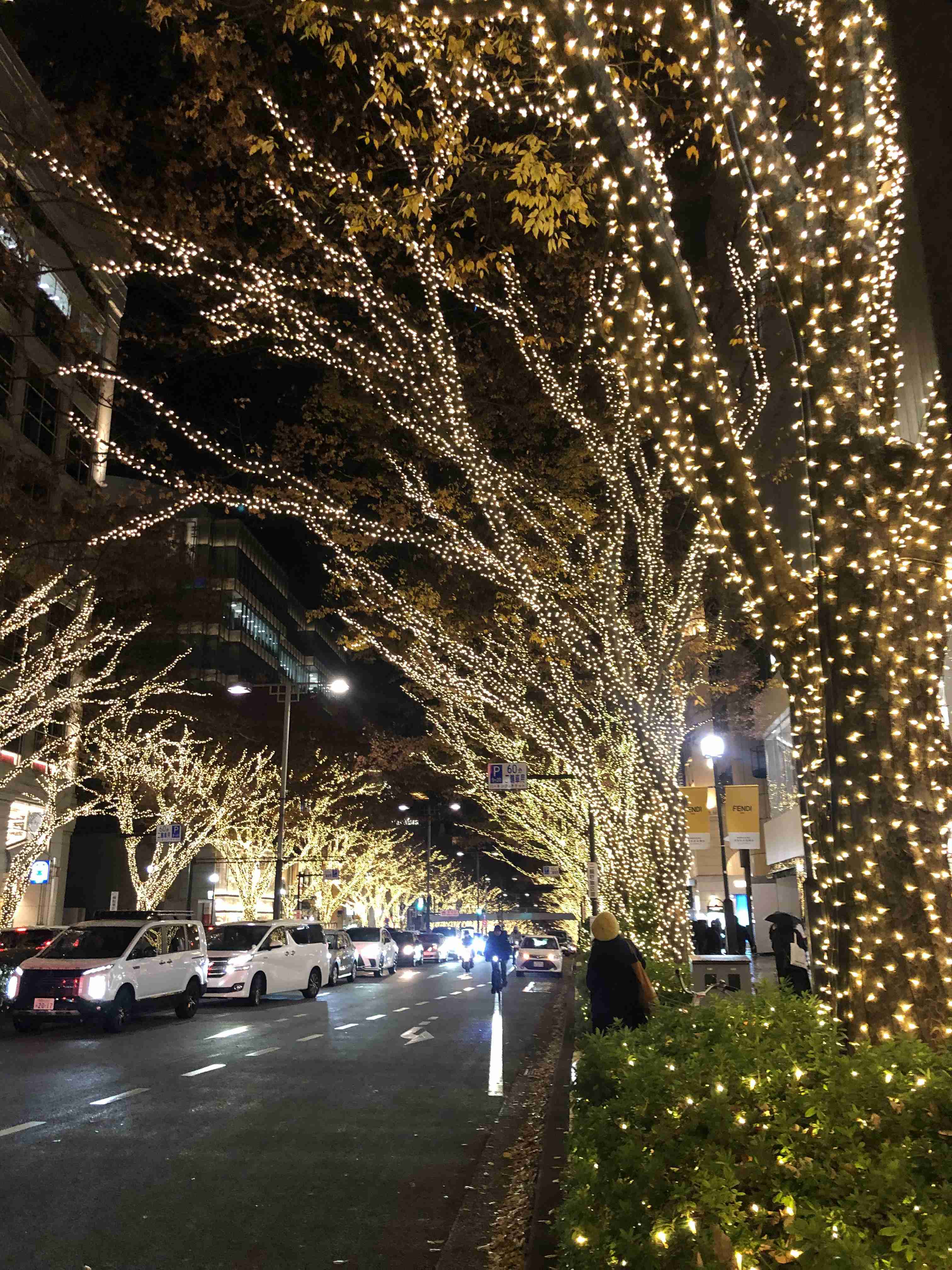 【東京のおすすめ】海外から友人が来る