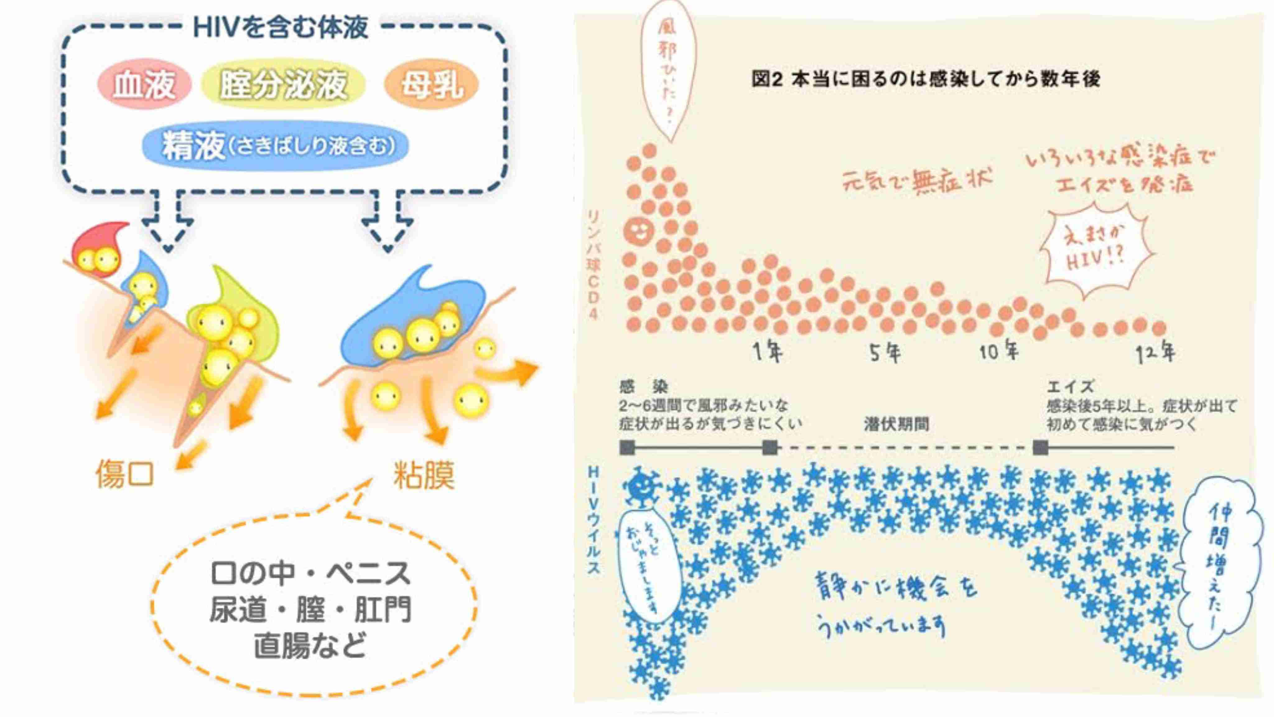 27歳女性に梅毒の匿名検査の結果が「陽性」だったにも関わらず、誤って「陰性」と伝えていたと発表　必死の呼びかけ「最悪死に至る」