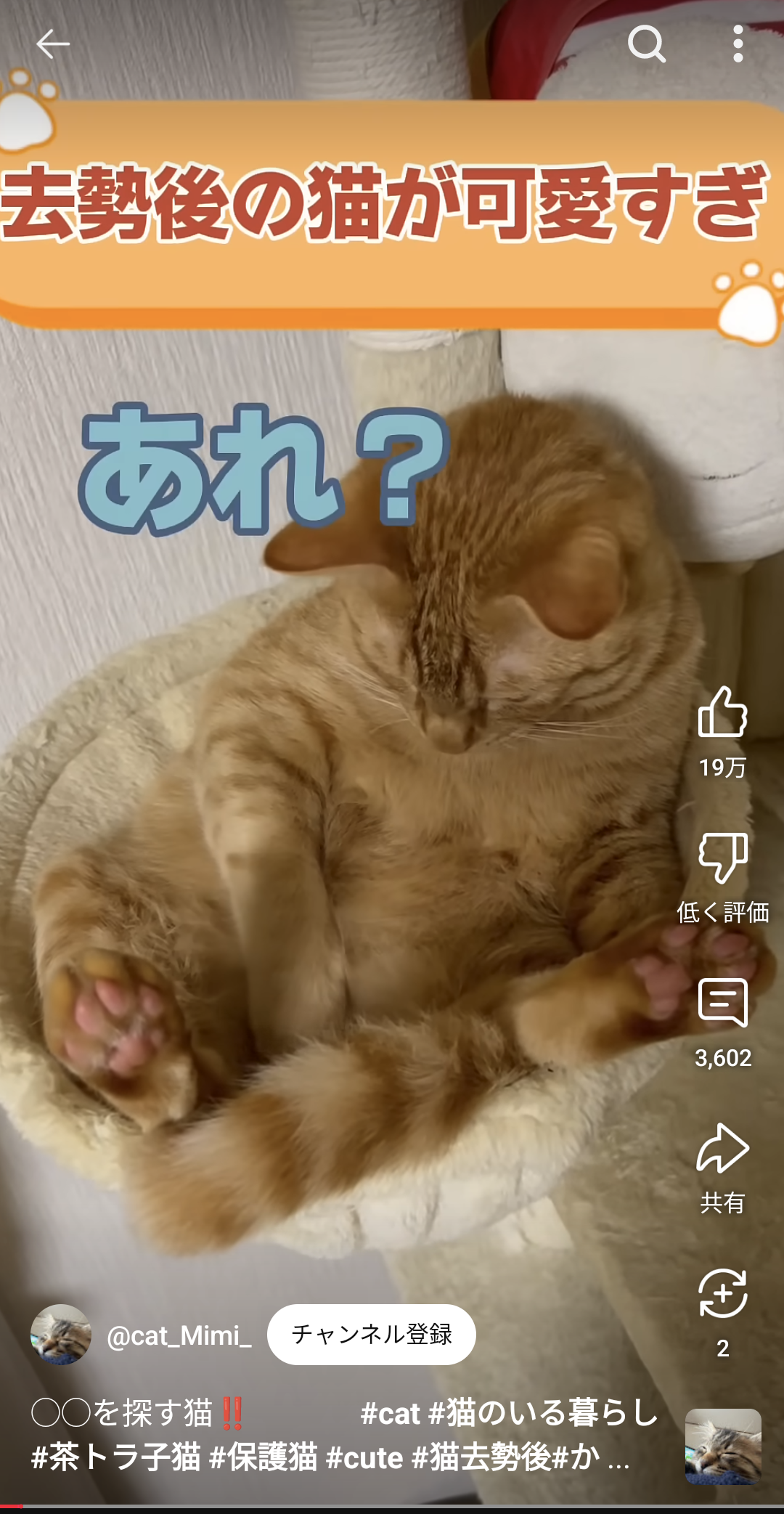 過去の記憶を回想する形式の作品について語るトピ