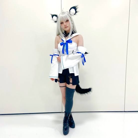 【ぐるナイ】芸能人のコスプレ