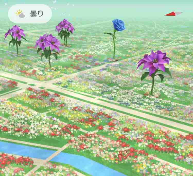 Pikmin Bloom（ピクミンブルーム）ピクミンとおでかけしよう🎄part.15