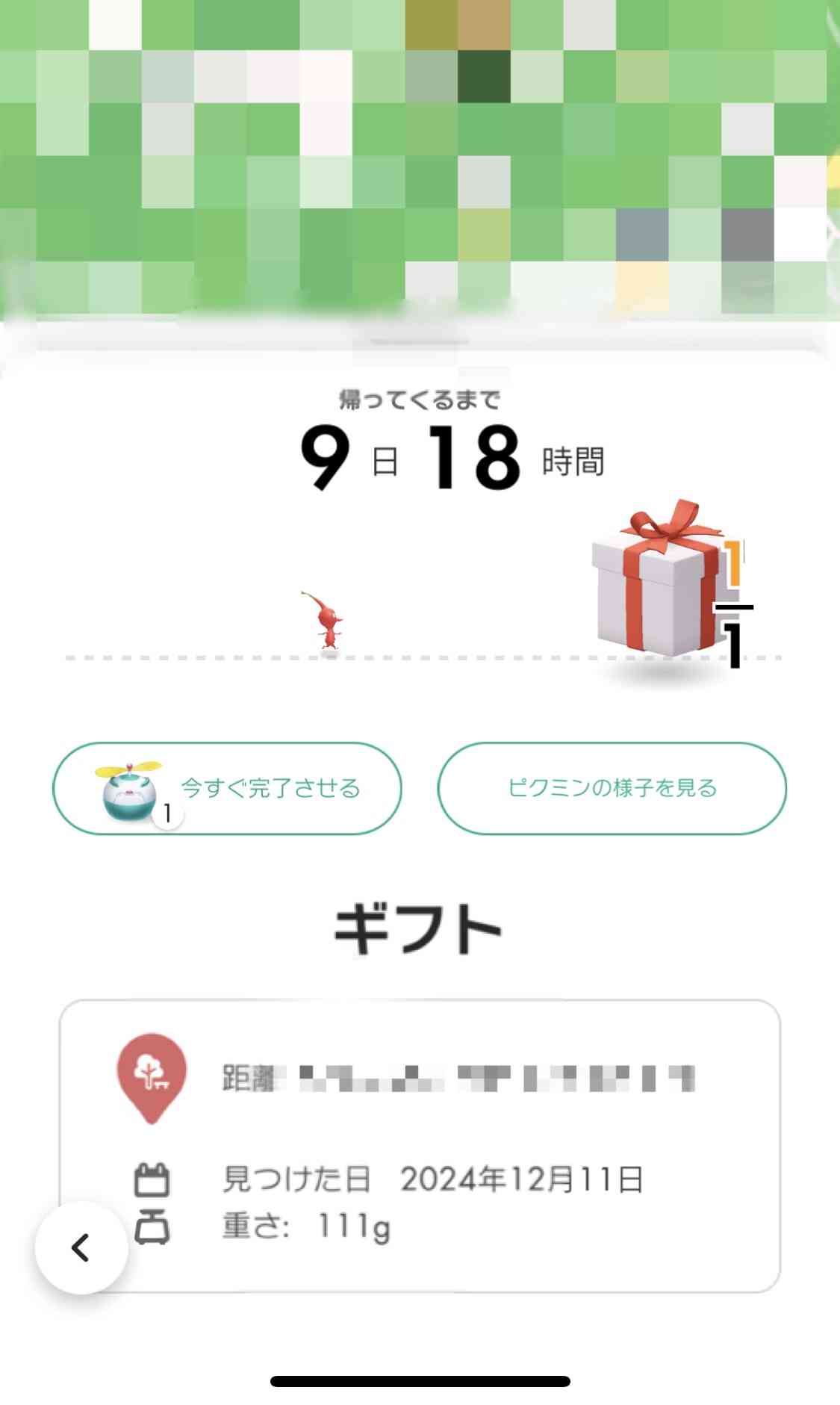Pikmin Bloom（ピクミンブルーム）ピクミンとおでかけしよう🎄part.15