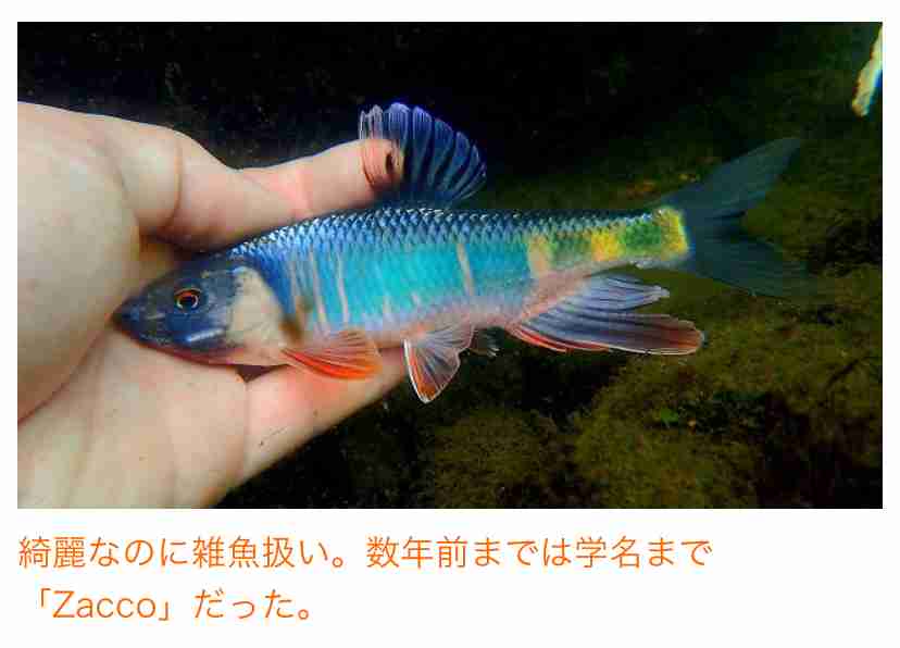 雑魚モテせずちゃんと男性に愛される人ってどんな人？