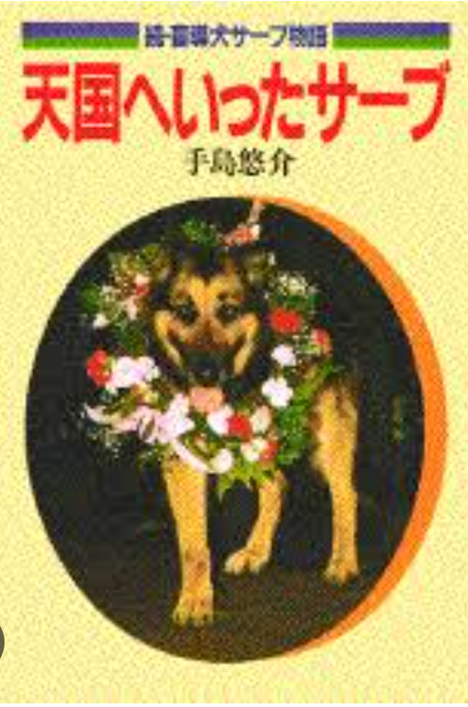 読書感想文を書いたことがある本