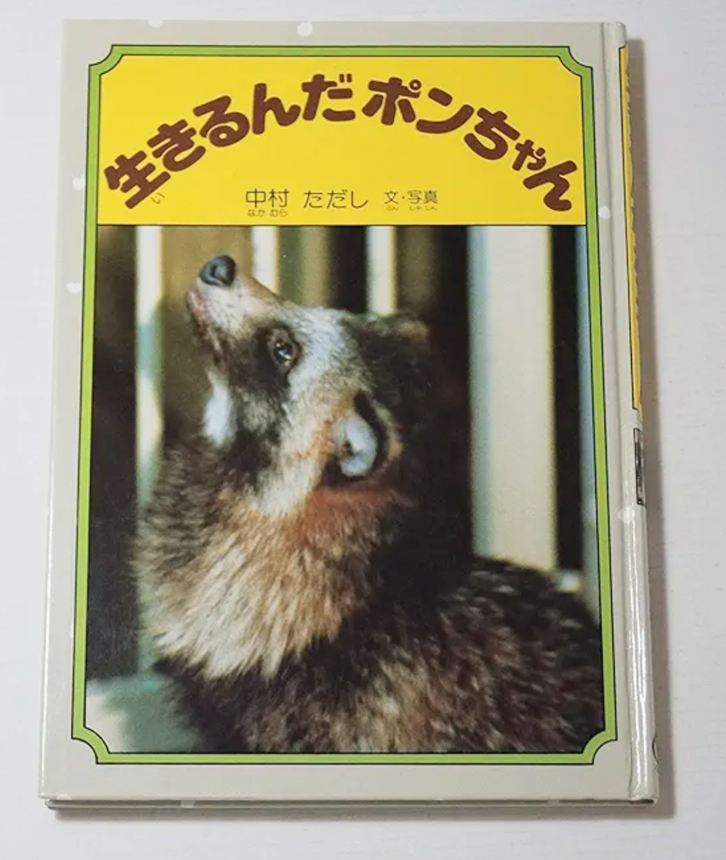 読書感想文を書いたことがある本