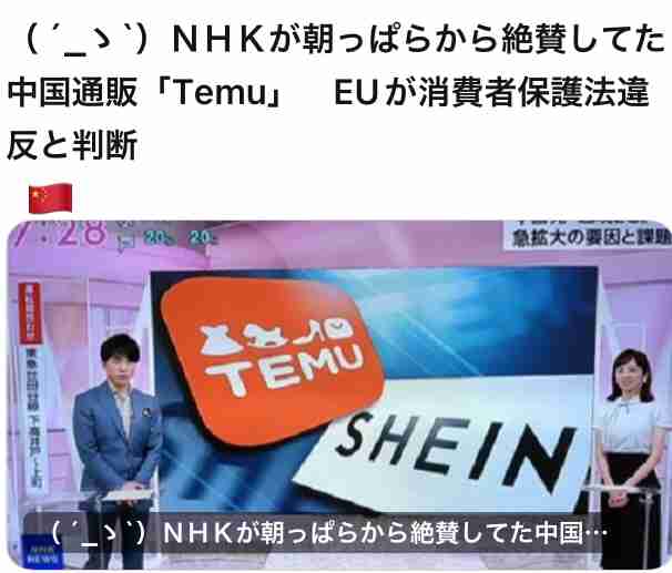 中国産爆安EC「Temu」がベトナムで問題に、インドネシアでは政府が「ブロック」…日本人が知らないアジアの実情