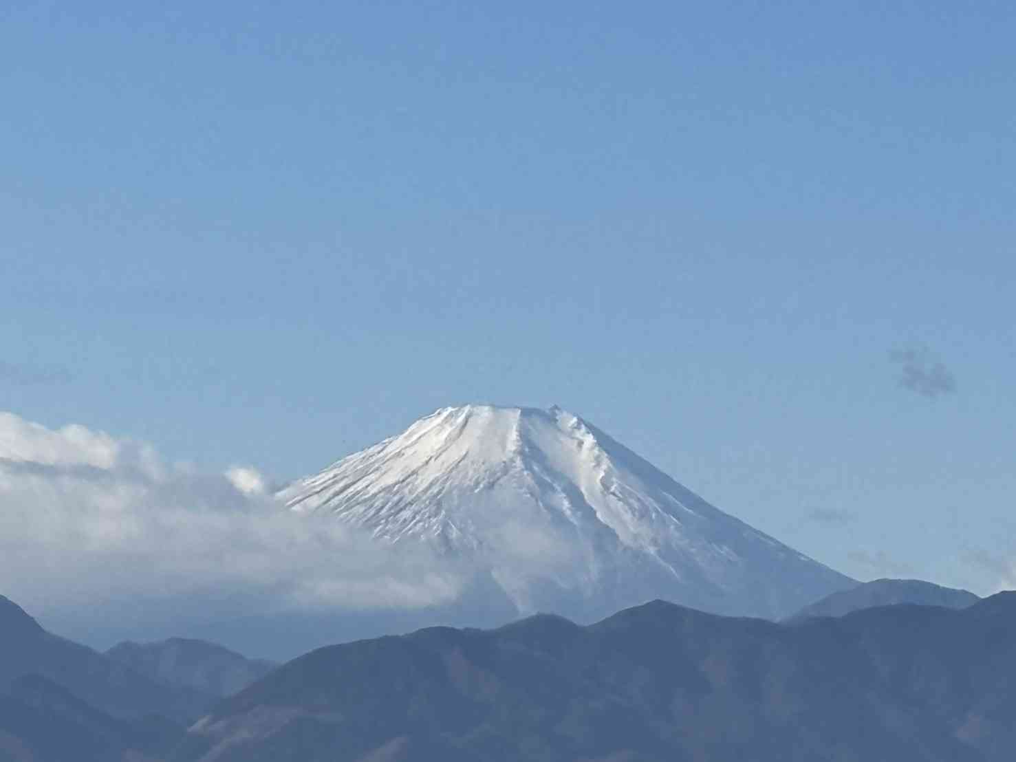 【スギちゃん雑談】【Part103】一富士、二鷹、三ナスギ！？だぜぇ2025年良い初夢見るんだぜぇ〜