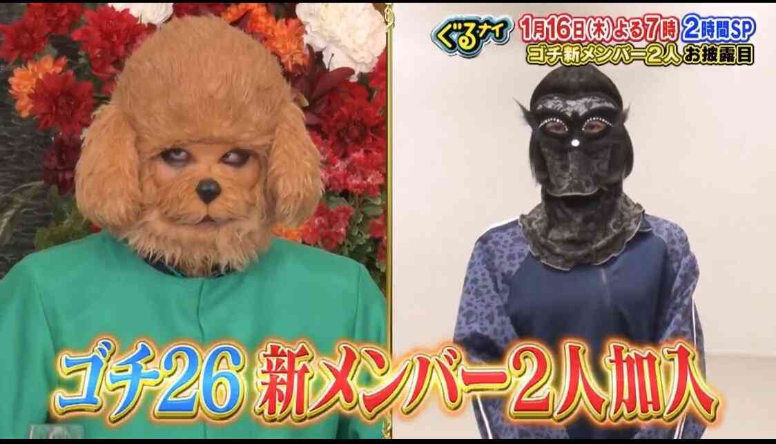 【実況・感想】ぐるナイゴチ新メンバー2人登場！売れっ子＆映画ドラマ美女に菅田出川も仰天⁉
