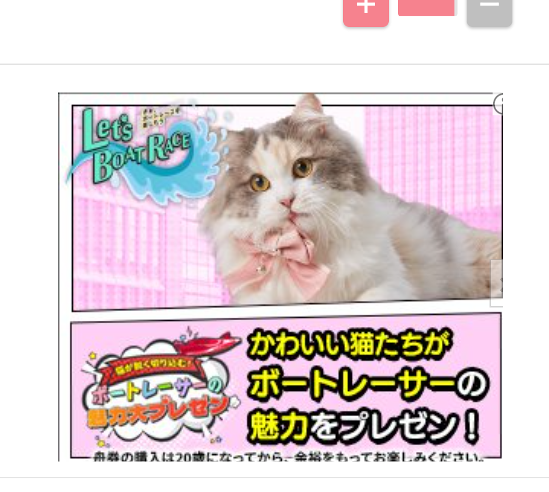 子どもが見たゲーム攻略サイトや学校のタブレットに「エロ広告」…“無法状態”に規制求める声