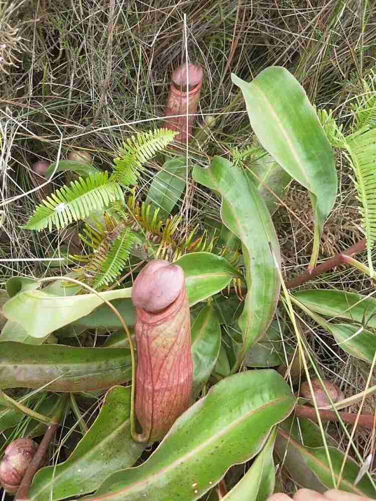 心が汚れている人にしか見えない画像9つ目