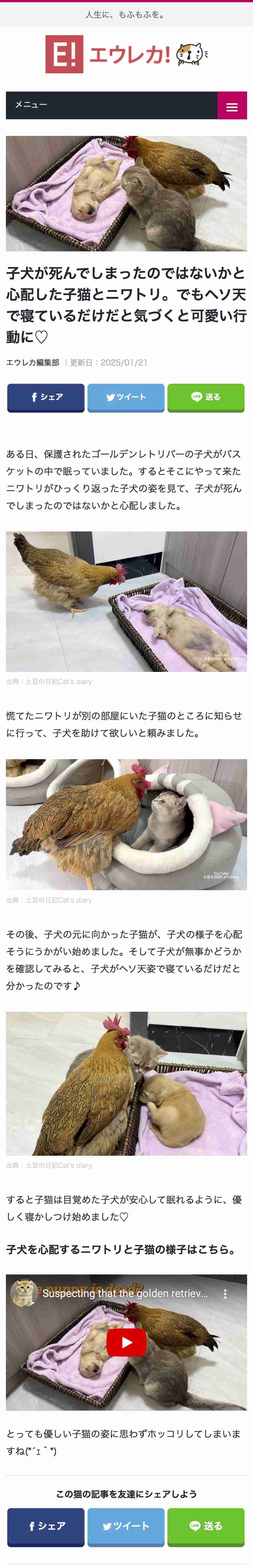 ペットの勘違い行動