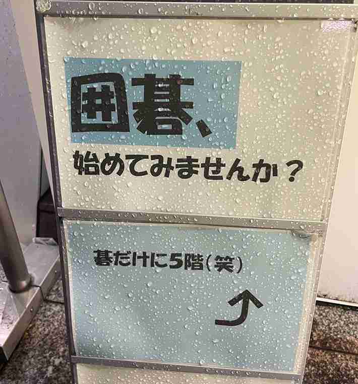 【芸能人の画像禁止】笑いのツボが浅いガル民に見せたい画像やgifが集まるトピ【悪意禁止】part8